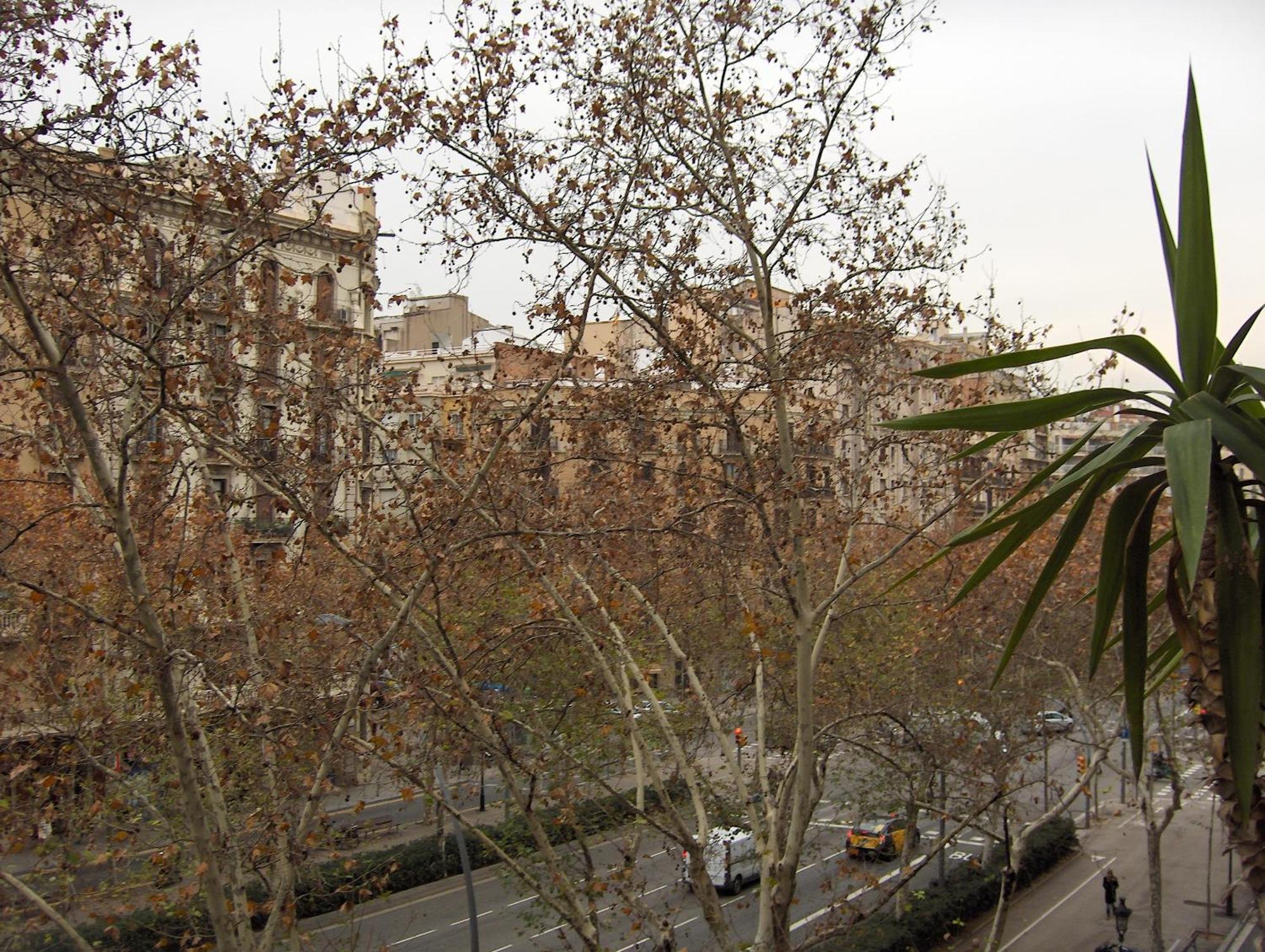 Des Artistes Hostel Barcelona Exterior photo